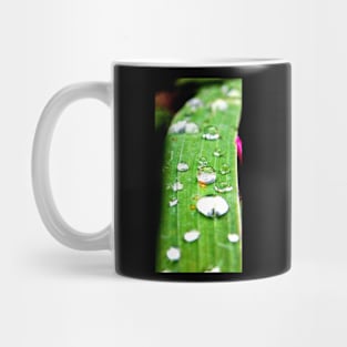 Waterdrops Mug